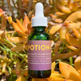 Massager & Scalp Treatment Oils Gift Set