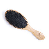 Boar Bristle Brush