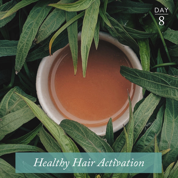Healthy Hair Activation | Day 8